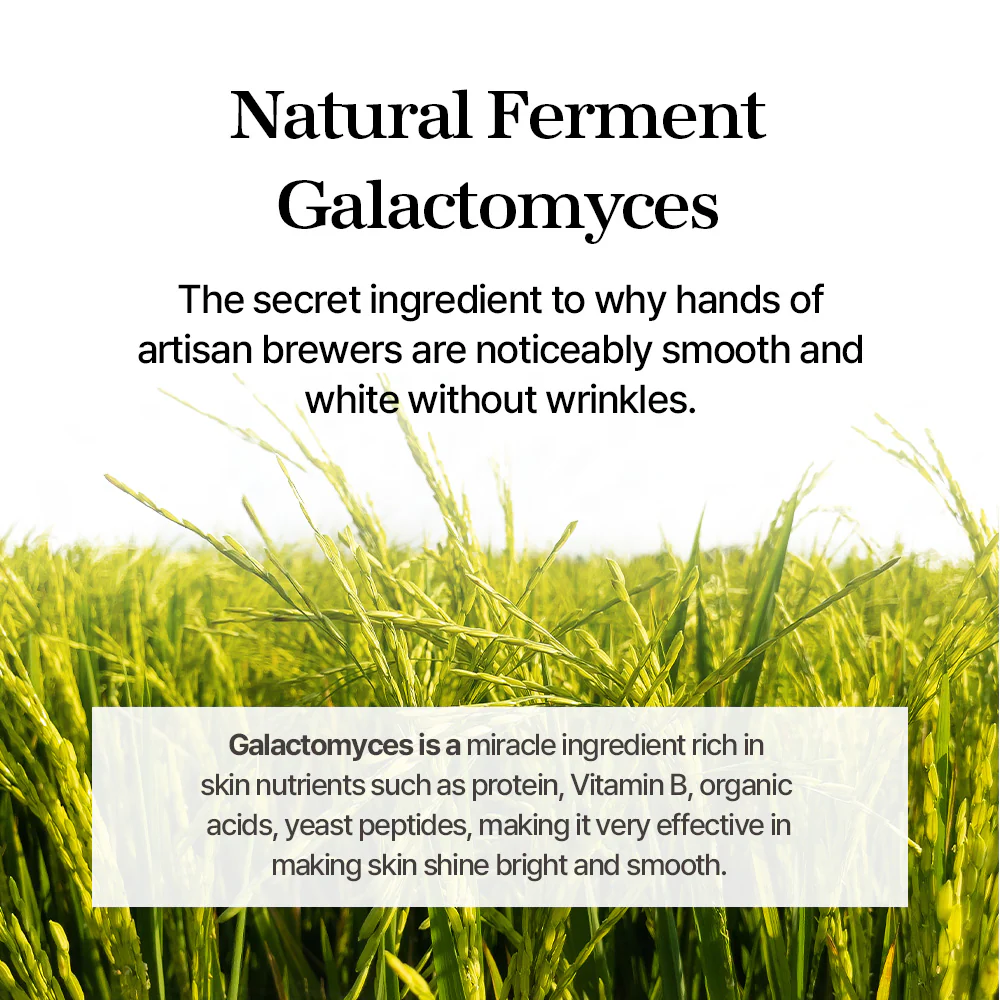 Galactomyces Ferment Essence 100Ml