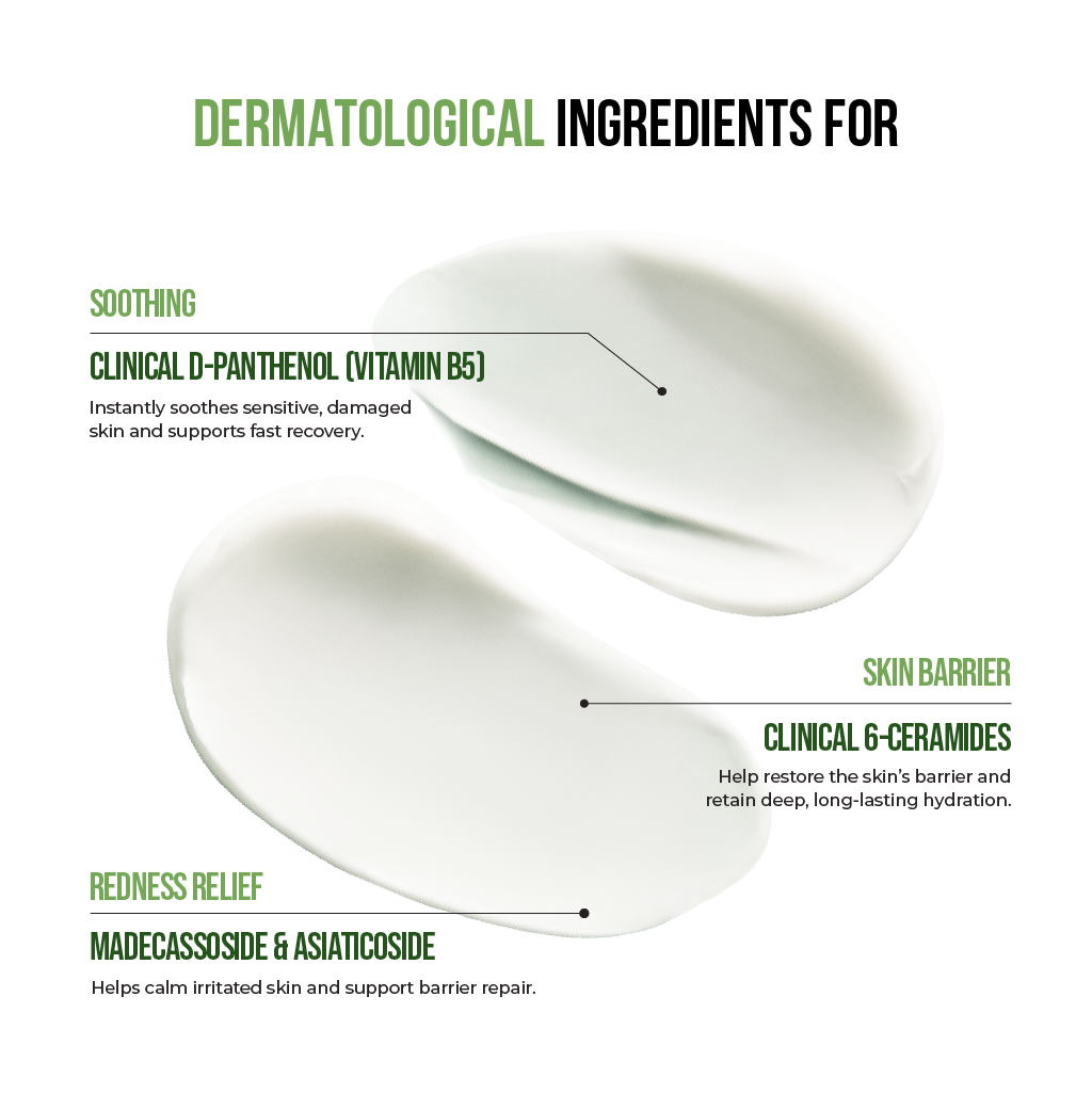 D-Panthenol Barrier Sooting Cream Brush Set (80Ml + 1Ea)