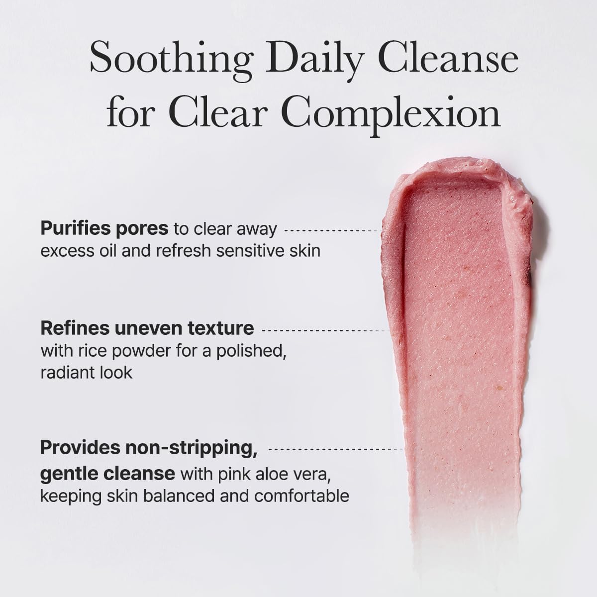 Fresh Rosehip Rice Mochi Cleanser 120G