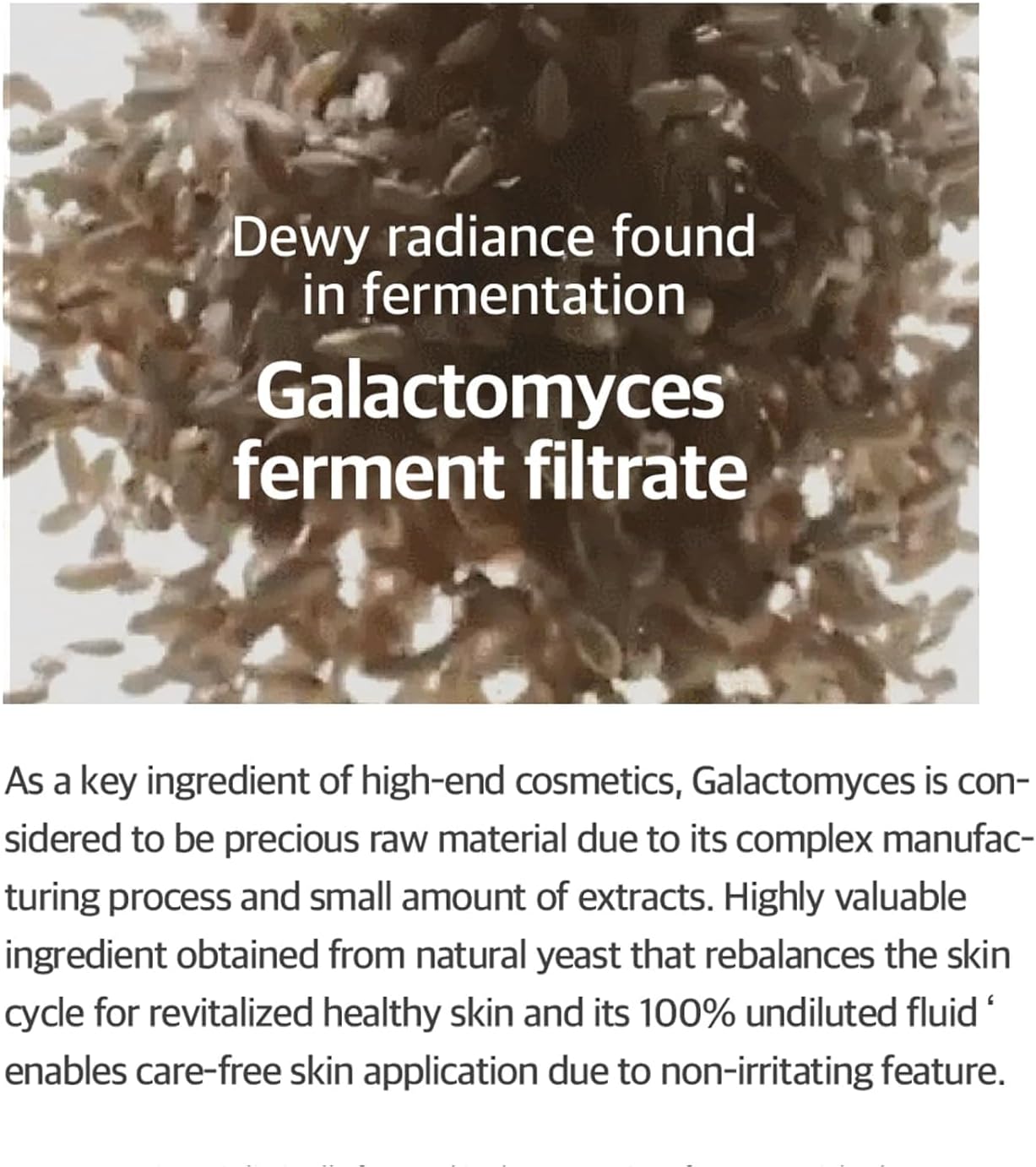 Galactomyces Ferment Essence 100Ml