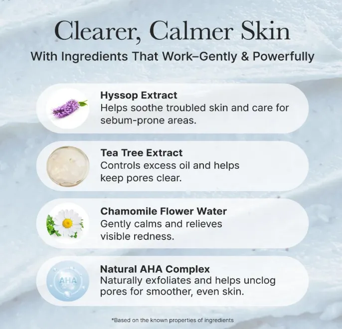 Hyssop Sebum Control Rice Cake Cleanser 150G